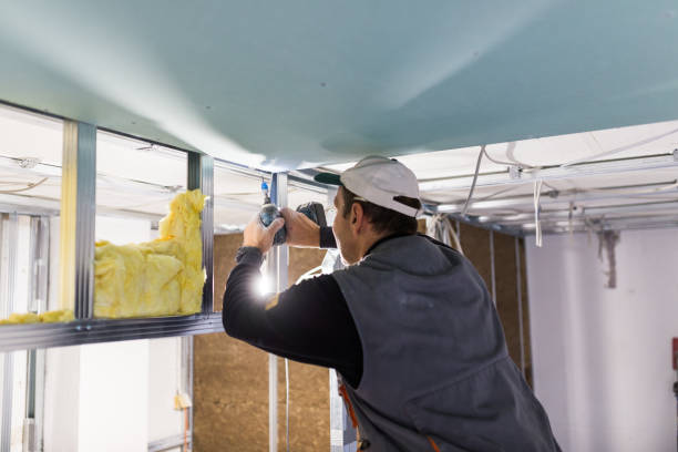 Best Spray Foam Insulation  in Windsor, VA