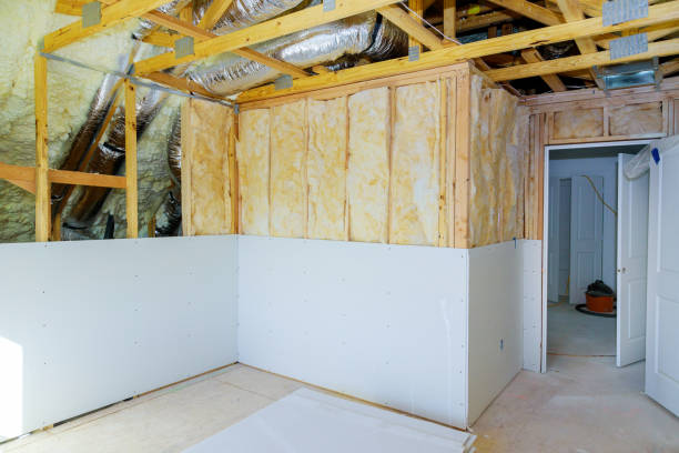 Best Insulation Replacement Services  in Windsor, VA
