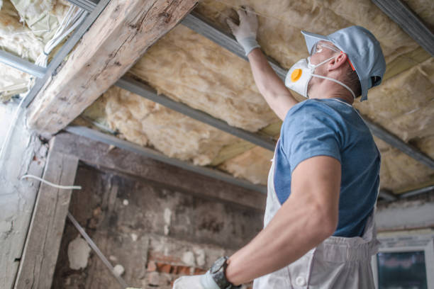 Insulation Replacement Services in Windsor, VA