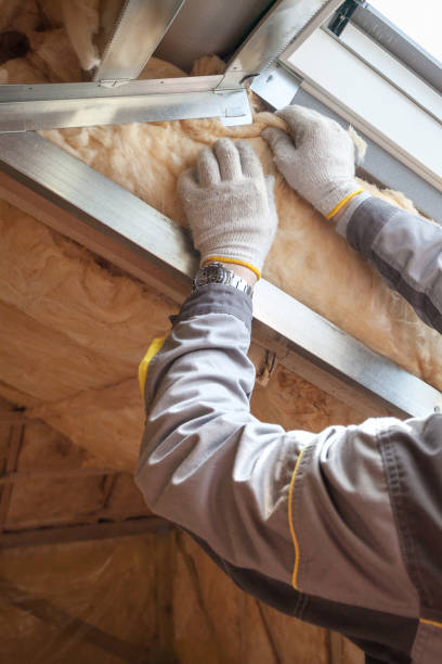 Best Affordable Insulation Services  in Windsor, VA