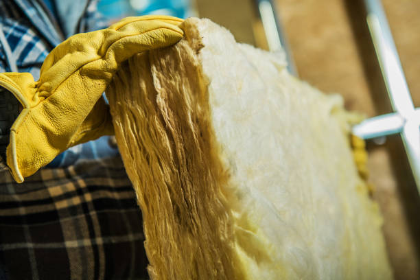 Best Cellulose Insulation  in Windsor, VA