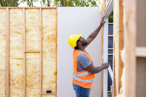 Best Spray Foam Insulation  in Windsor, VA