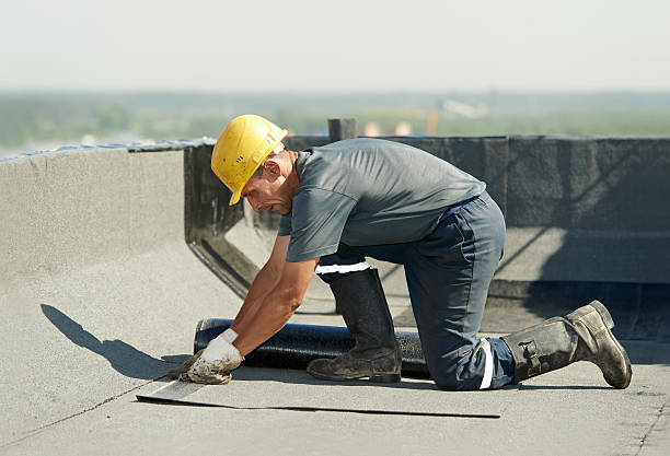 Best Insulation Contractor Near Me  in Windsor, VA
