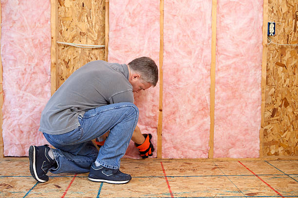 Best Professional Insulation Contractor  in Windsor, VA