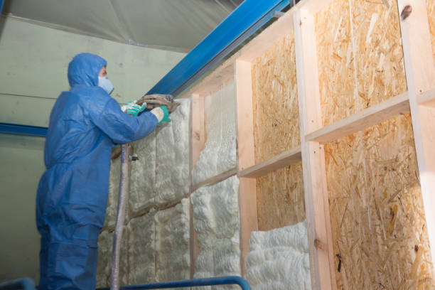 Best Blown-in Insulation  in Windsor, VA