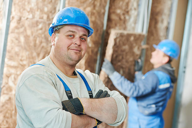 Best Residential Insulation Services  in Windsor, VA