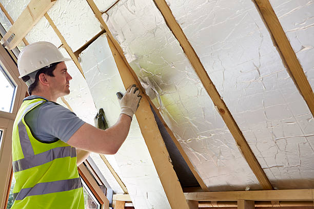 Best Attic Insulation Installation  in Windsor, VA