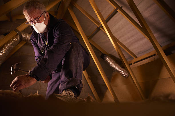 Best Insulation Repair Services  in Windsor, VA